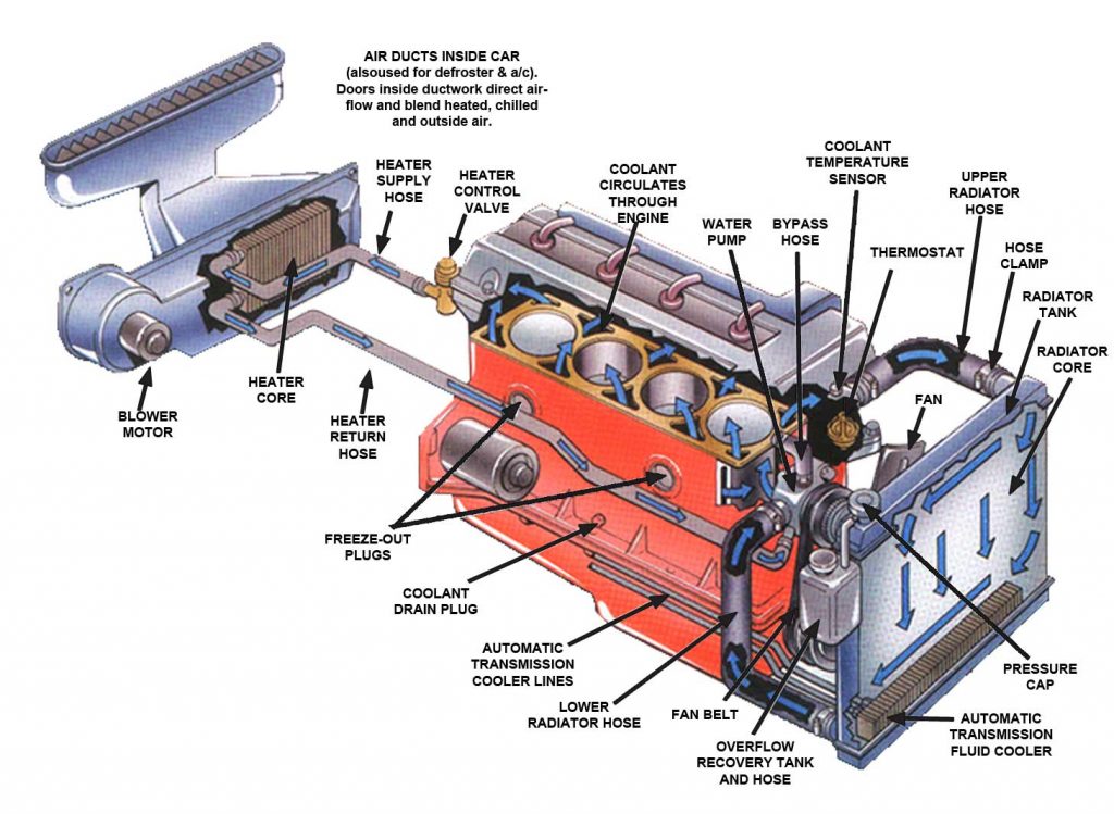 Radiator Fan Repair And Replacement In Houston - Lucas Auto Care