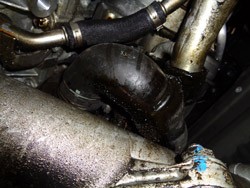 BMW coolant hose coated with engine oil