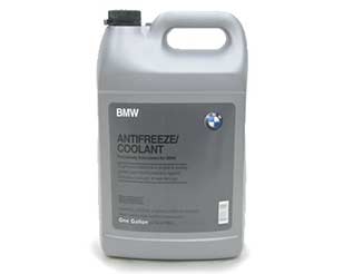 BMW Cooling System - Lucas Auto Care